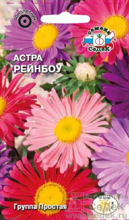 Семена цветов, Астра Рейнбоу Маделин, смесь цветов Евро, 0,2 гр, Седек