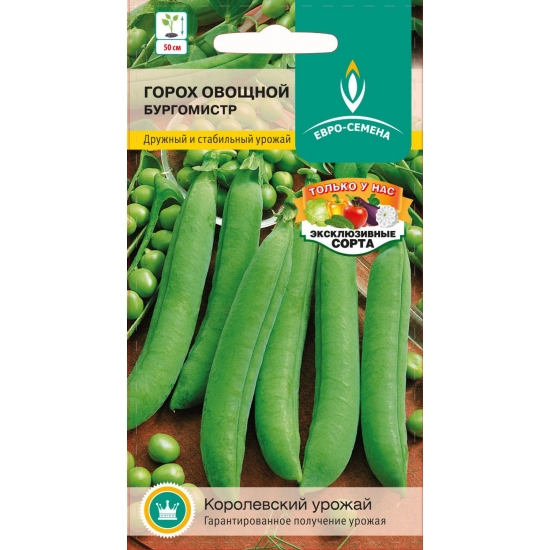 Семена овощей, Горох Бургомистр раннеспелый, 5 гр, ЕВРО-СЕМЕНА