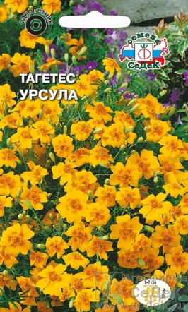 Семена цветов, Бархатцы или тагетес Урсула тонколистный, желтый с оранжевым рисунком Евро, 0,1 гр, Седек