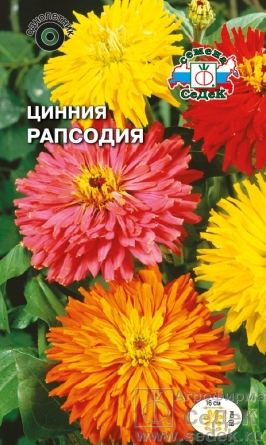 Семена цветов, Цинния Рапсодия кактусовидная, смесь Евро, 0,5 гр, Седек