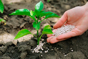 Купить средства защиты растений в Крыму