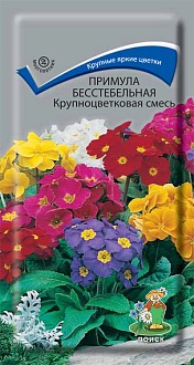 Семена цветов, Примула бесстебельная крупноцветковая смесь, 0,04 гр, Поиск