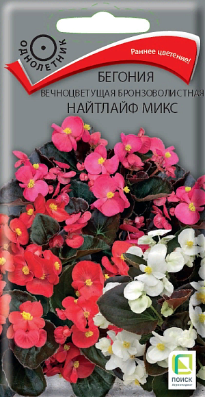 Семена цветов, Бегония вечноцветущая бронзоволистная Найтлайф Микс, 15шт, ПОИСК
