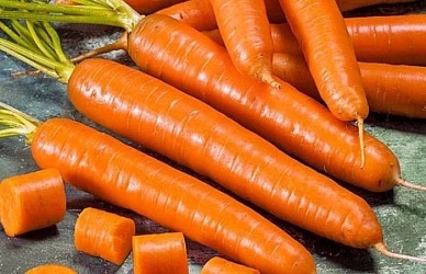 Самые сладкие сорта моркови