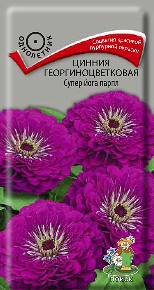 Семена цветов, Цинния георгиноцветковая Супер йога парпл, 0,4 гр, Поиск