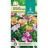 Семена цветов, Мирабилис Двухцветная смесь, 0,5 гр, ЕВРО-СЕМЕНА