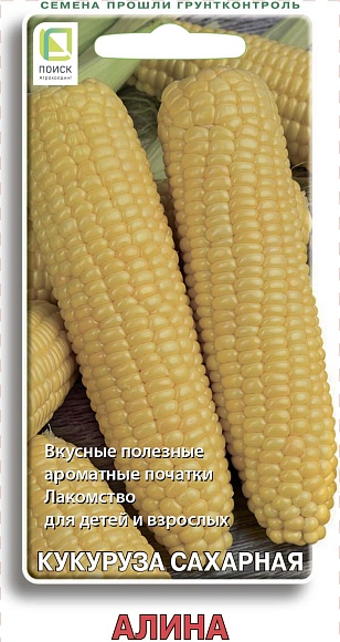 Семена овощей, Кукуруза Алина сахарная, 5гр, ПОИСК