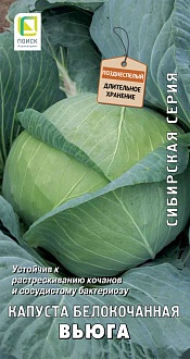 Семена овощей, Капуста Вьюга белокочанная, 0,5гр, ПОИСК