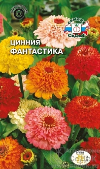Семена цветов, Цинния Фантастика скабиозовидная, смесь цветов Евро, 0,5 гр, Седек