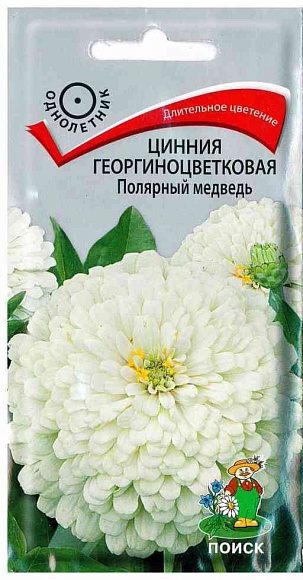 Семена цветов, Цинния георгиноцветковая Полярный медведь, 0,4гр, ПОИСК