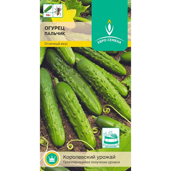 Семена овощей, Огурец Пальчик,12 шт, ЕВРО-СЕМЕНА
