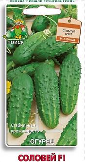 Семена овощей, Огурец Соловей F1, 12шт, ПОИСК