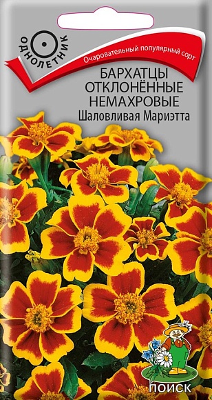 Семена цветов, Бархатцы отклоненные немахровые Шаловливая Мариэтта, 0,4гр, ПОИСК