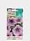 Семена цветов, Петуния Мираж Орхид F1 многоцветковая,10 шт, ЕВРО-СЕМЕНА