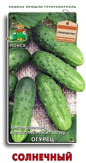 Семена овощей, Огурец Солнечный, 15шт, ПОИСК