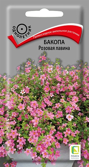 Семена цветов Бакопа Розовая лавина, 5шт, ПОИСК