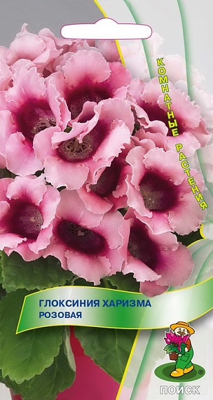 Семена цветов, Глоксиния Харизма Розовая, 5 шт, Поиск