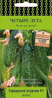 Семена овощей, Огурец Городской огурчик F1 серия Четыре лета, 5 шт, Поиск