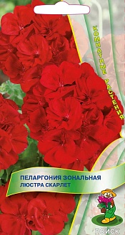 Семена цветов, Пеларгония зональная Люстра Скарлет комнатная, 5шт, ПОИСК