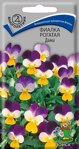 Семена цветов, Виола или фиалка Анютины глазки рогатая Дама "М, 0,1 гр, Поиск
