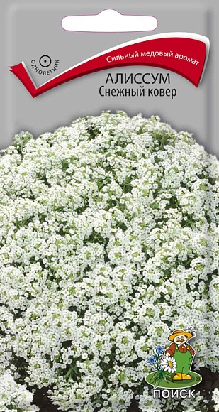 Семена цветов, Алиссум Снежный ковёр "1, 0,3 гр, Поиск