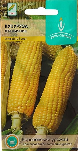 Семена овощей, Кукуруза Станичник сахарная, 3 гр, ЕВРО-СЕМЕНА