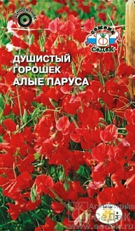 Семена цветов, Душистый горошек Алые паруса красный Евро, 1 гр, Седек