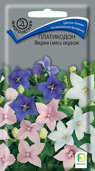 Семена цветов Платикодон Фиджи смесь окрасок, 25шт, ПОИСК