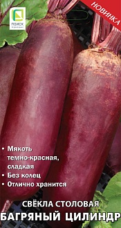 Семена овощей, Свекла Багряный цилиндр столовая, 3гр, ПОИСК