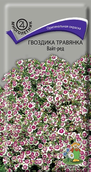 Семена цветов, Гвоздика травянка Вайт-Ред, 0,1гр, ПОИСК