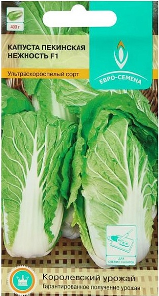 Семена овощей, Капуста Нежность F1 пекинская, 0,1 гр, ЕВРО-СЕМЕНА