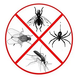 Защита от прочих насекомых