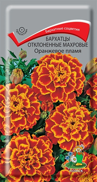 Семена цветов, Бархатцы или тагетес махровые Оранжевое пламя, 0,4 гр, Поиск