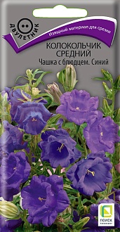 Семена цветов, Колокольчик средний Чашка с блюдцем Синий, 0,1гр, ПОИСК