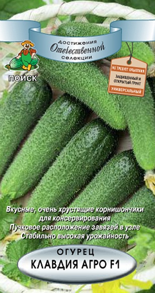 Семена овощей, Огурец Клавдия Агро F1 А, 12 шт, Поиск