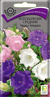 Семена цветов, Колокольчик средний Чашка с блюдцем Розовый, 0,1гр, ПОИСК