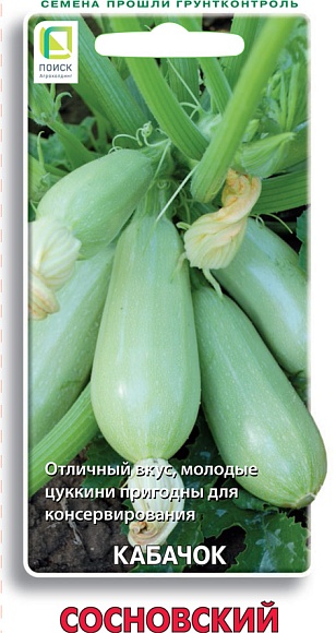 Семена овощей, Кабачок Сосновский, 12шт, ПОИСК