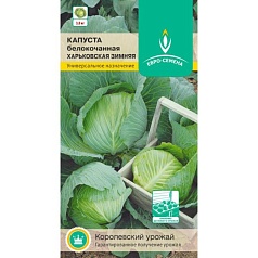 Семена овощей, Капуста Харьковская Зимняя б/к, 0,5 гр, ЕВРО-СЕМЕНА