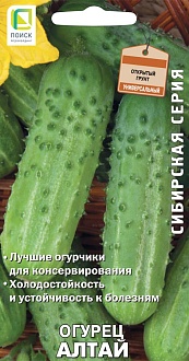 Семена овощей, Огурец Алтай, 15шт, ПОИСК