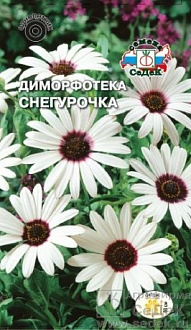 Семена цветов, Диморфотека Снегурочка выемчатая, белая Евро, 0,2 гр, Седек