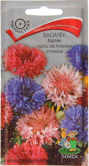 Семена цветов, Василёк Карлик смесь пастельных оттенков, 0,1гр, ПОИСК
