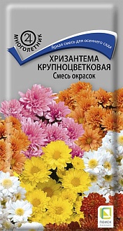 Семена цветов, Хризантема крупноцветковая Смесь окрасок, 0,05гр, ПОИСК