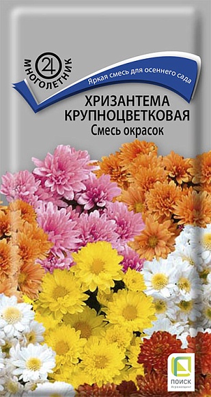 Семена цветов, Хризантема крупноцветковая Смесь окрасок, 0,05гр, ПОИСК