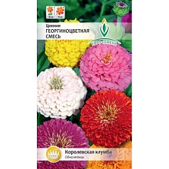 Семена цветов, Цинния Георгиноцветная смесь, 0,3 гр, ЕВРО-СЕМЕНА