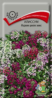 Семена цветов, Алиссум Мэджик циклес микс "1, 0,1 гр, Поиск