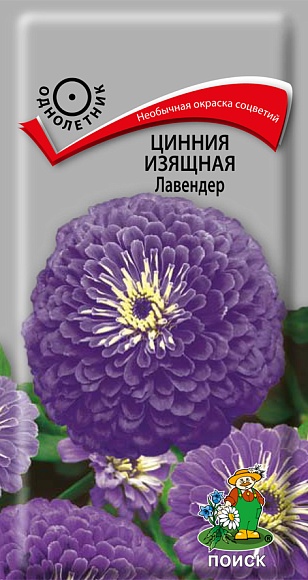 Семена цветов, Цинния изящная Лавендер, 0,4 гр, Поиск