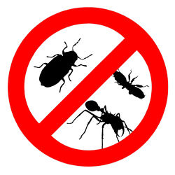 Защита от комаров, клещей и мошки