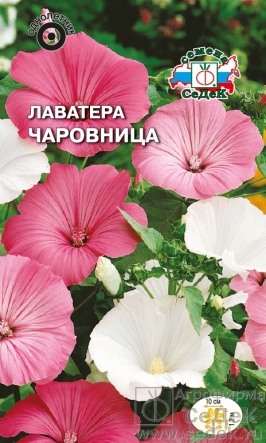 Лаватера Чаровница смесь цветов Евро, 0,3 гр Седек