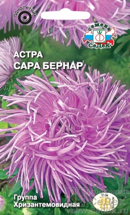 Семена цветов, Астра Сара Бернар хризантемовидная, розовая Евро, 0,2 гр, Седек