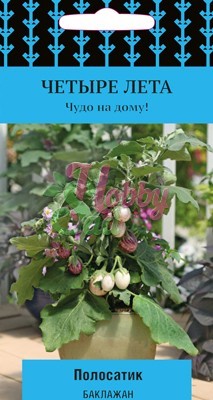 Семена овощей, Баклажан Полосатик, 5 шт, ПОИСК